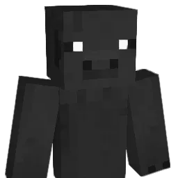 Kiwi1412 Minecraft avatar bust