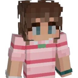 KiwiBird2406 Minecraft avatar bust