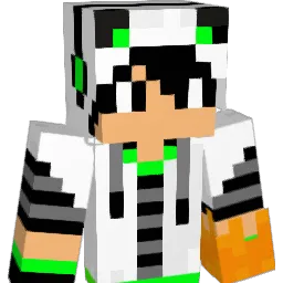 KiwiKid