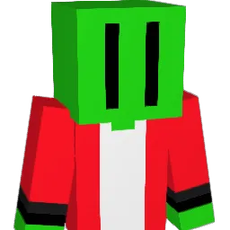 Kiwimatsch Minecraft avatar bust
