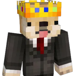Kleem_bus