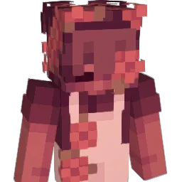Kn0xEra22 Minecraft avatar bust