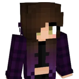 Knightgarden Minecraft avatar bust