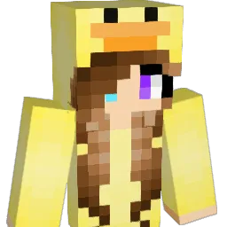Knowski1017 Minecraft avatar bust