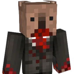 Koala_Steamed Minecraft avatar bust