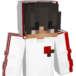 Kocogo Minecraft avatar bust