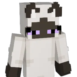 Kocurka