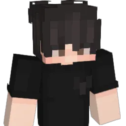 Komornik112_ Minecraft avatar bust