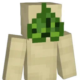 KorokGuy Minecraft avatar bust