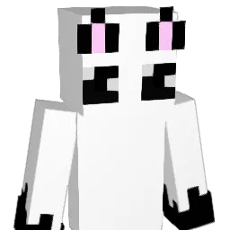 Koteczek67896 Minecraft avatar bust