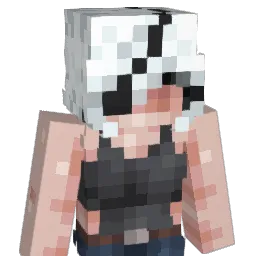 Kovan1 Minecraft avatar bust