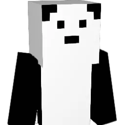 Koyle19 Minecraft avatar bust