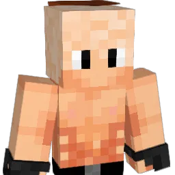 Kralzin Minecraft avatar bust