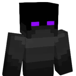 Kruczek110 Minecraft avatar bust