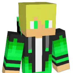 Krycha_16_ Minecraft avatar bust