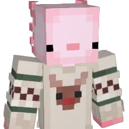 Kungenus Minecraft avatar bust