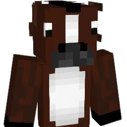 Kyto119 Minecraft avatar bust