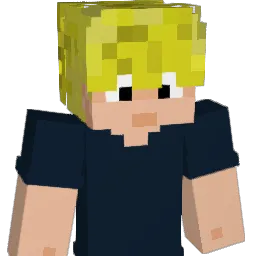 L0ST_20 Minecraft avatar bust