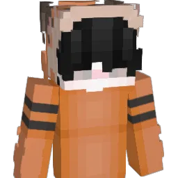 L1MMI Minecraft avatar bust