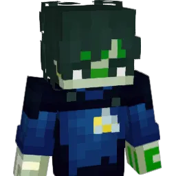 L3m0nS0ck Minecraft avatar bust