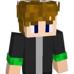 L3oeo Minecraft avatar bust