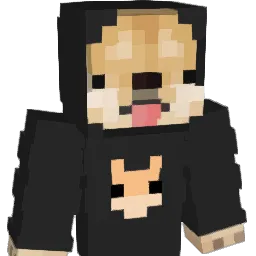 L5rp's Minecraft skin
