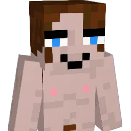 LAER98 Minecraft avatar bust
