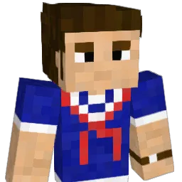 LAZERTY_ Minecraft avatar bust