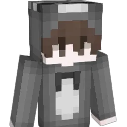 LEAWSD Minecraft avatar bust