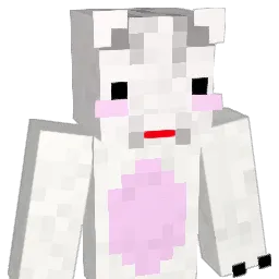 LEEAUSTIN Minecraft avatar bust