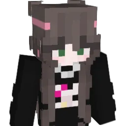 LEEJUNPAL Minecraft avatar bust