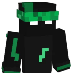 LEEROY17 Minecraft avatar bust