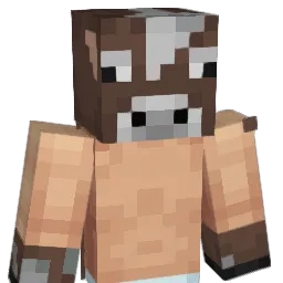 LEEWAI's Minecraft skin