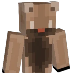 LEEjamong12 Minecraft avatar bust