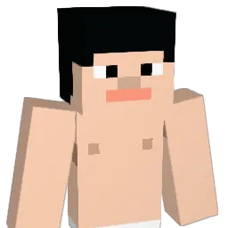 LEHW Minecraft avatar bust