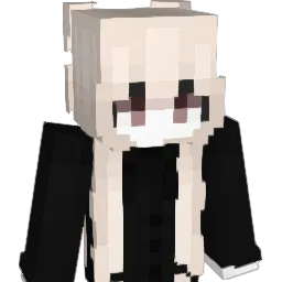 LEI__0 Minecraft avatar bust