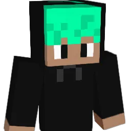 LEON_zztxy Minecraft avatar bust
