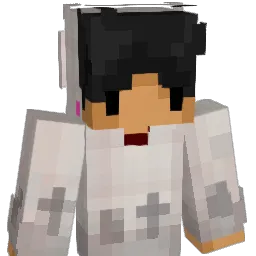 LEUWAS's Minecraft skin