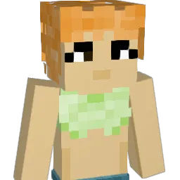 LGCdishwasher Minecraft avatar bust