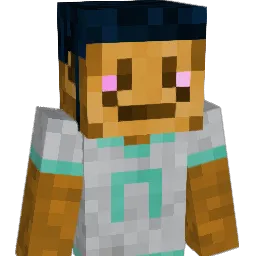 LH1234HL Minecraft avatar bust