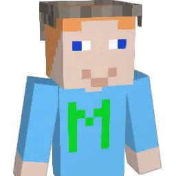 LIEGER Minecraft avatar bust