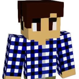 LIER16 Minecraft avatar bust