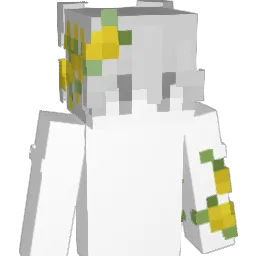 LIM0N
