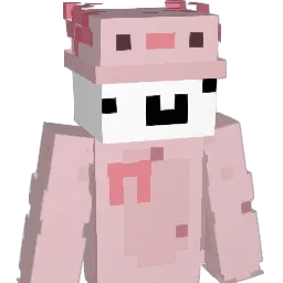 LINFY444 Minecraft avatar bust