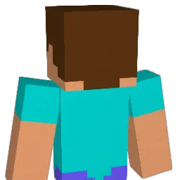 LINKG6 Minecraft avatar bust
