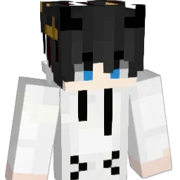 LION9987 Minecraft avatar bust