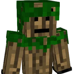 LImIted_EdIton Minecraft avatar bust