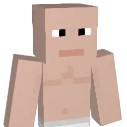 LJIAHH Minecraft avatar bust