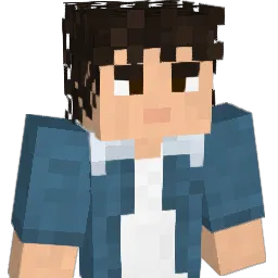 LLillico's Minecraft skin
