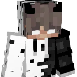 LOLER5574 Minecraft avatar bust
